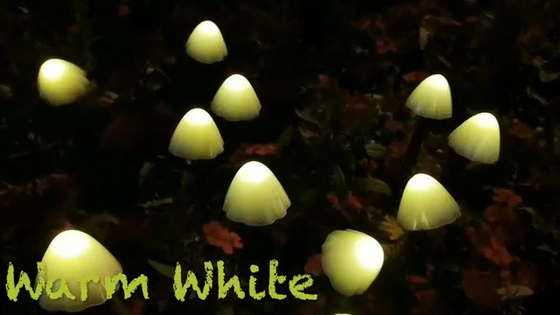 vermehren sich angetriebene LED Ketten-Solarlichter 2700K IP55/die Solargarten-Lichter explosionsartig, die festliche Dekoration heiraten